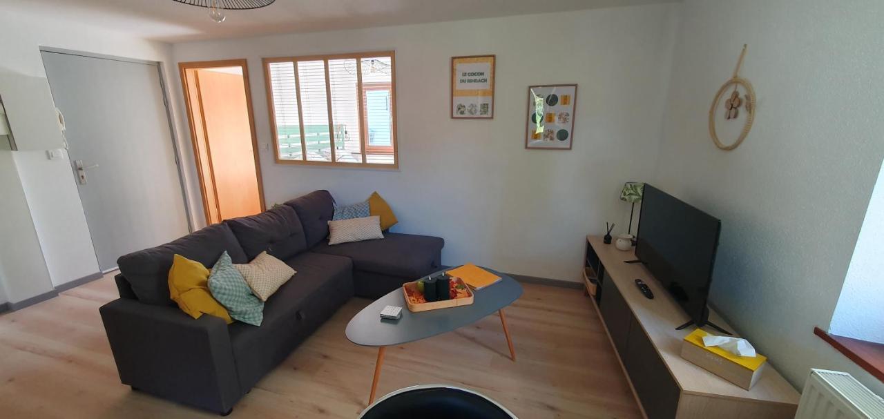 Le Cocon Du Rimbach Apartment Soultz-Haut-Rhin Ngoại thất bức ảnh
